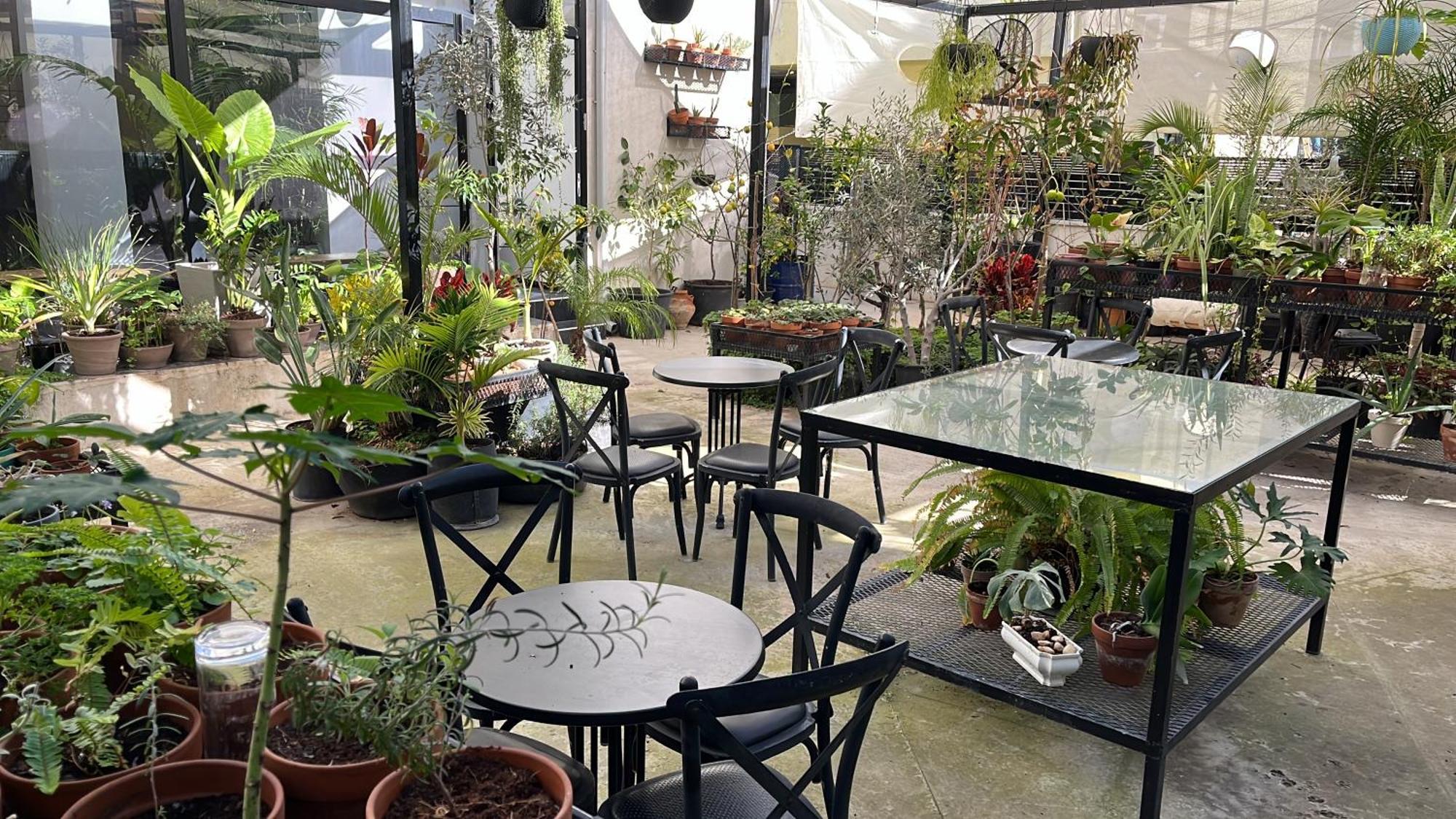 Yona 8 Bed and Breakfast Tel Aviv Buitenkant foto